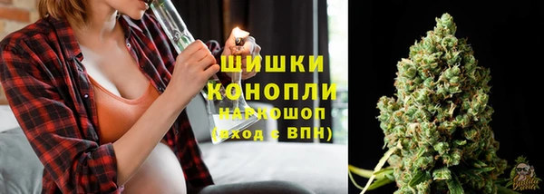 PSILOCYBIN Абдулино