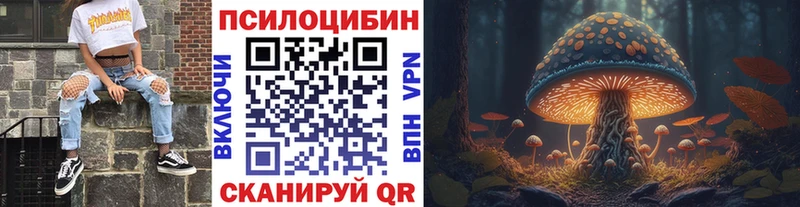 блэк спрут ссылка  Апатиты  Псилоцибиновые грибы MAGIC MUSHROOMS 